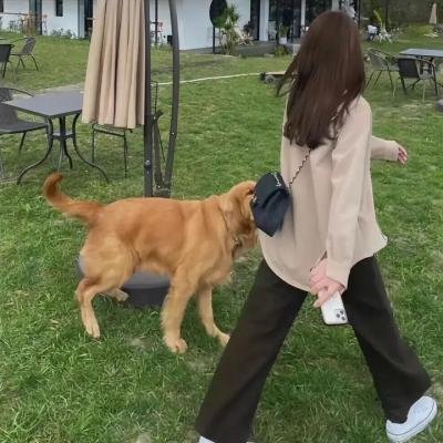 罗便臣舞场